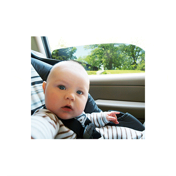 What is the best window tint to protect my children in the back seat?