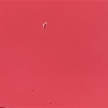 Ferrari Berlinetta Paint Protection Film Removal and PDR